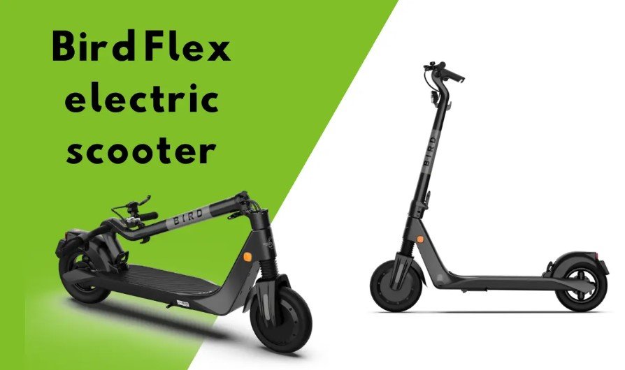Bird Flex Electric Scooter
