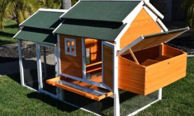 Chicken Coop at Tractor Supply: The Ultimate Guide