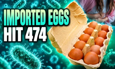 imported eggs salmonella outbreak 474 UK cases