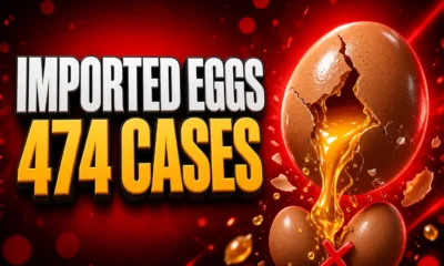 UKHSA Salmonella Enteritidis 474 imported eggs cases