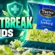 cyclospora outbreak iceberg lettuce origin still unknown