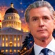 Newsom order N-9-26 studies AI kill switch