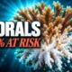 reef-building coral species IUCN Red List 44 percent threatened
